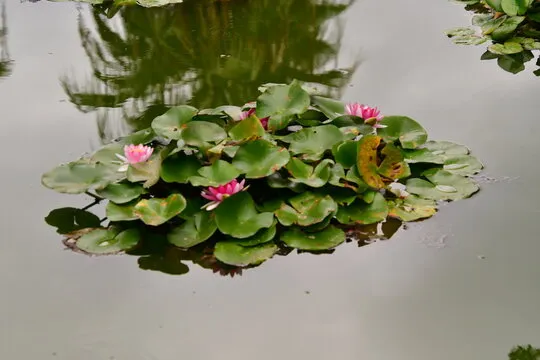游戏策略